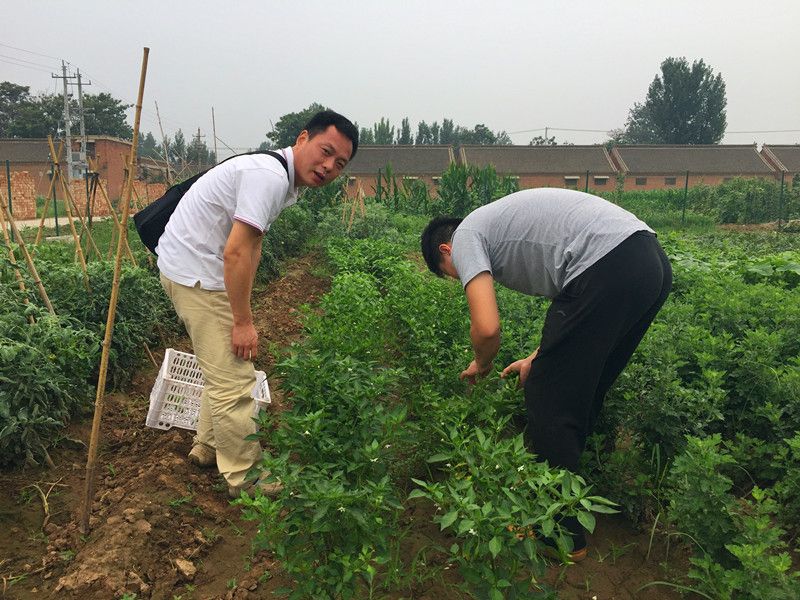 好利來郭總喊您來摘菜啦！綠色無公害，放心！