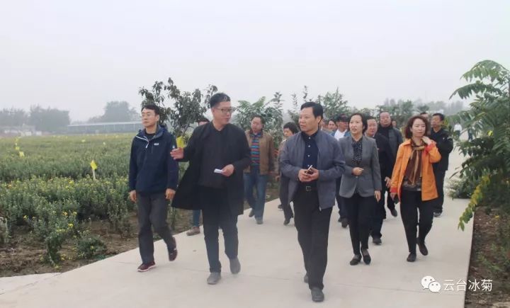 云臺冰菊基地發(fā)生了什么？一批批領(lǐng)導(dǎo)專家團(tuán)隊前來！